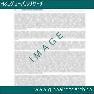 グローバルリサーチ調査レポートのイメージ